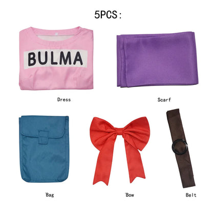Set of clothing items including a pink dress, purple scarf, blue bag, red bow, and brown belt on a white background.